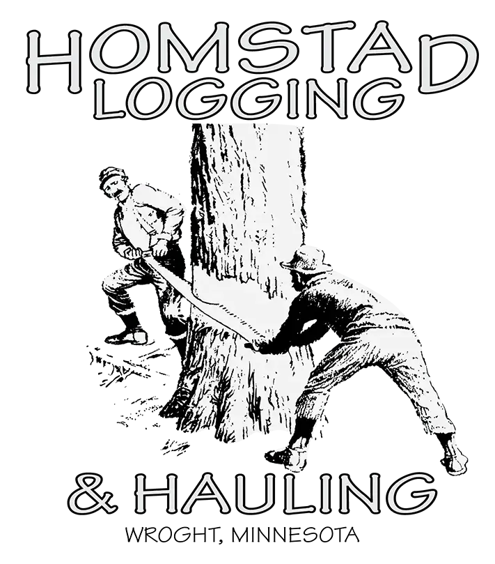 homstad Logging-03